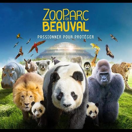 Gite Souai Et Zen , 5 Mn Du Zooparc De Beauval Saint-Aignan  Buitenkant foto