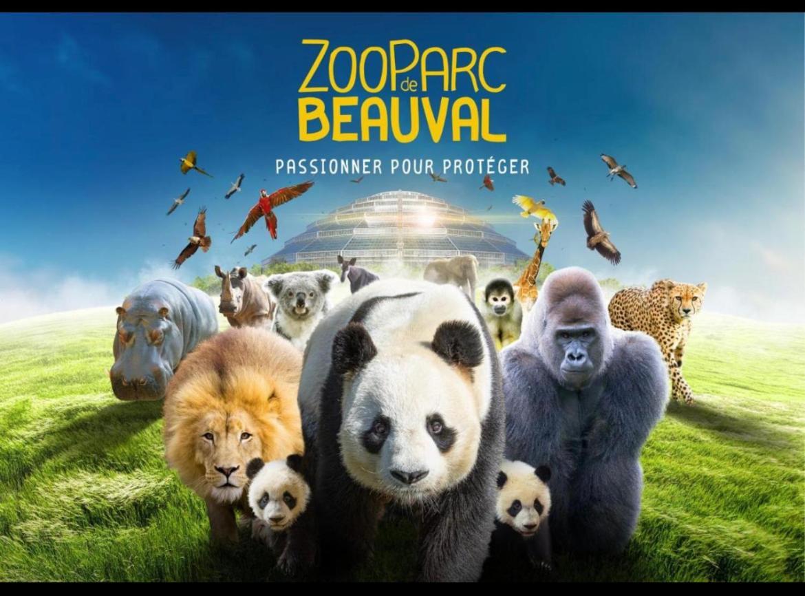 Gite Souai Et Zen , 5 Mn Du Zooparc De Beauval Saint-Aignan  Buitenkant foto
